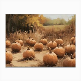 Pumpkins In The Field 5 Canvas Print