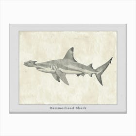 Hammerhead Shark Grey Silhouette 11 Poster Canvas Print