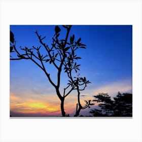 Silhouette Of Tree At Sunset In Bali Canvas Print