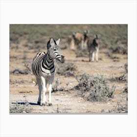 Zebras At Etosha National Park Namibia Toile