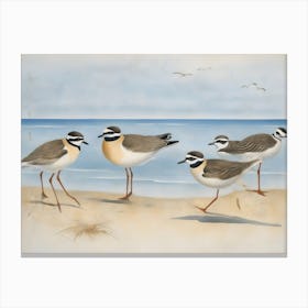 Gulls On The Beach Canvas Print