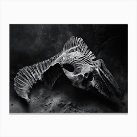 Skeleton Of A Fish Canvas Print