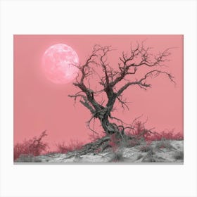 Lone Tree 9 Canvas Print