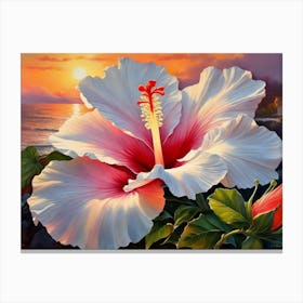 Sunset Hibiscus 1 Canvas Print