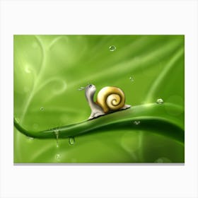 Snail On A Leaf Snail Drops Rain Drawing Green Canvas Print