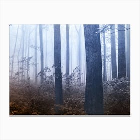 Forest Dreamland - Pacific Northwest Nature II Canvas Print