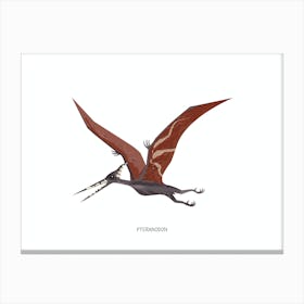 Pteranodon Canvas Print