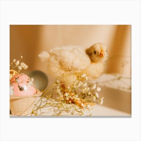 Easter Chick 11 Canvas Print