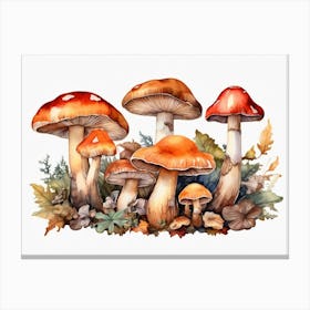 Watercolor Mushrooms Canvas Print