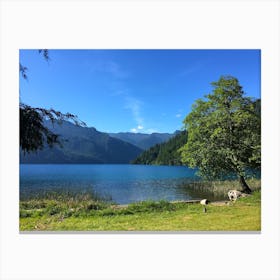 Lake Crescent, Olympic National Park, Washington Canvas Print