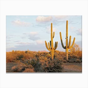 Warm Desert Saguaro Cactus Canvas Print