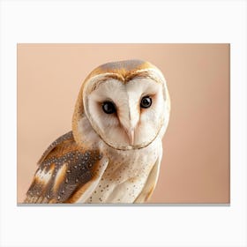 Barn Owl 9 Canvas Print