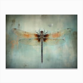 Dragonfly 12 Canvas Print