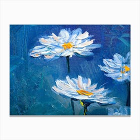 Daisies 2 Canvas Print