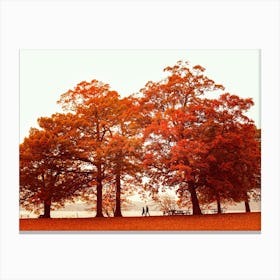 Orange Autumn In New York Canvas Print
