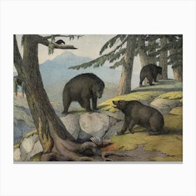 Vintage Kolb 11 Tafel 51 Grislybär Canvas Print