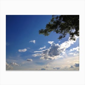 Blue Sky With Clouds and Tree Canvas Print