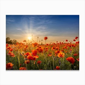 Poppy Idyll In Sunset Canvas Print