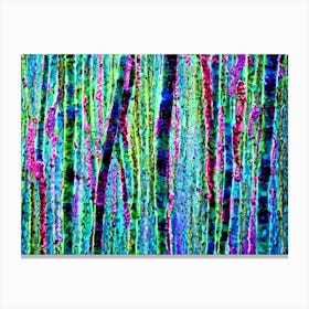 Birch Forest Canvas Print