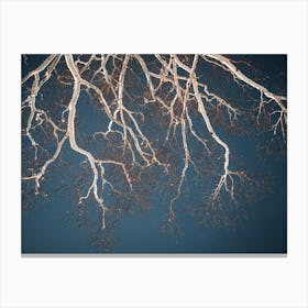 Frozen Trees Canvas Print