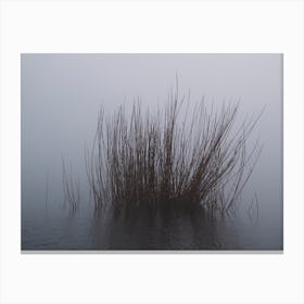 Shapes In The Mist Canvas Print