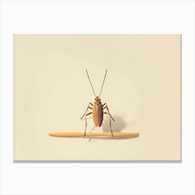 Bug On A Stick Canvas Print