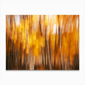 Aspen Love - Fall Foliage Abstract Canvas Print