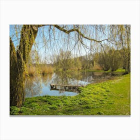 Willow Tree In The Park Canvas Print