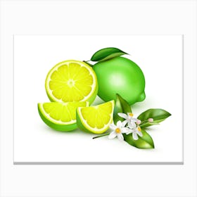 Lemon Lime Canvas Print