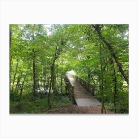 Bridge In The Woods Canvas Print