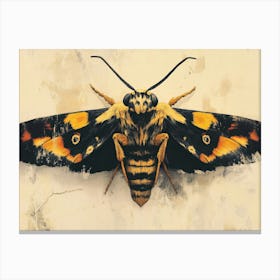 Moth Fantasy Canvas Print