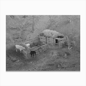 Livestock Shelter On Charles Banta Farm Near Anthon, Iowa By Russell Lee Canvas Print