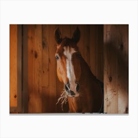 Horse In Barn Canvas Print