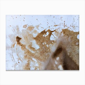 Coffee Splatter 2 Canvas Print