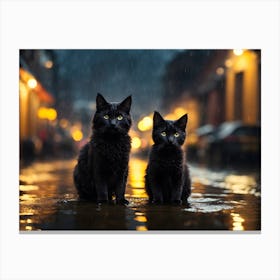 Two Black Cats In The Rain Canvas Print
