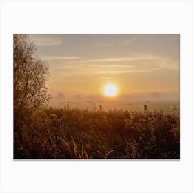 Sunrise between the Cows Canvas Print