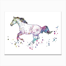 Horse 1 Canvas Print