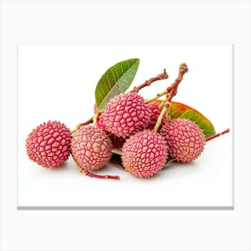 Lychee Fruit 4 Canvas Print