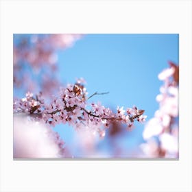 In The Wind Canvas Print