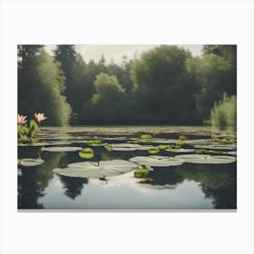 Lily Pads In A Pond Canvas Print