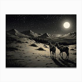 Horses In The Night Canvas Print