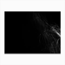 Glowing Abstract Curved Black And White Lines 8 Canvas Print
