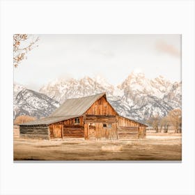 Abandoned Cabin Canvas Print
