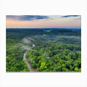 Aerial View Of A Forest Canvas Print