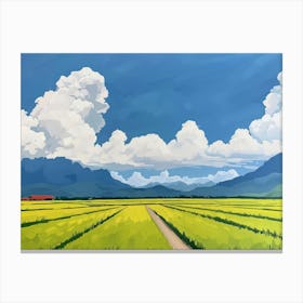 Field Of Rice 1 Canvas Print