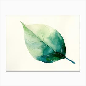 Watercolor Leaf 8 Canvas Print