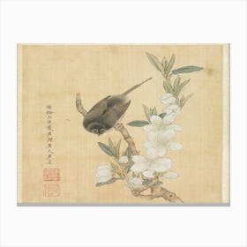 Bird Perched On A Flowering Branch Canvas Print