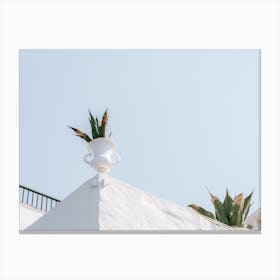 Cactus On The Rooftop Canvas Print
