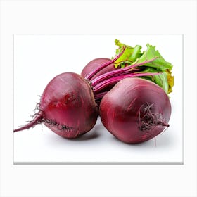 Beets 10 Canvas Print