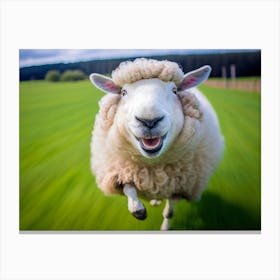 Happy Running Sheep In The Field Canvas Print